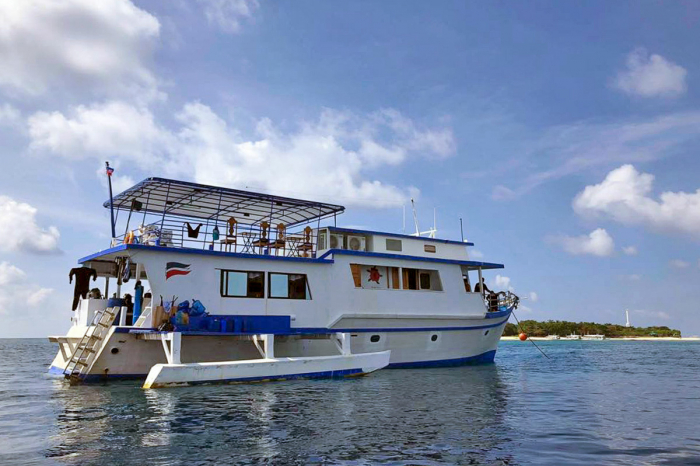 Azalea Liveaboard 7