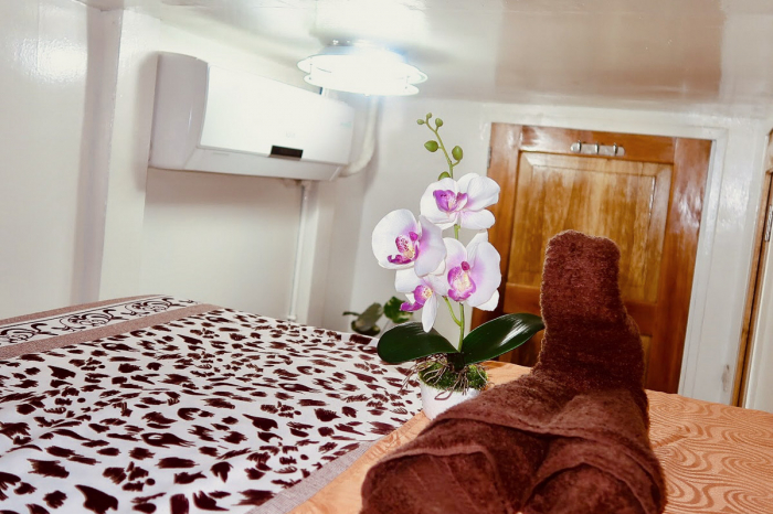 Azalea Liveaboard 15