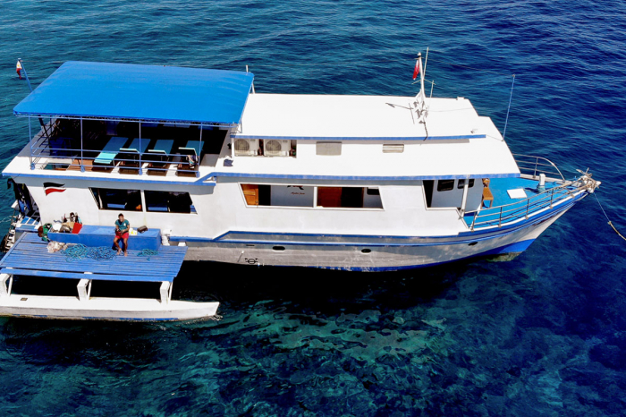 Azalea Liveaboard 23