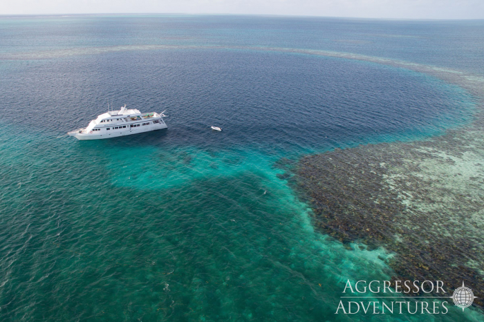 Belize Aggressor Iii Liveaboard 9