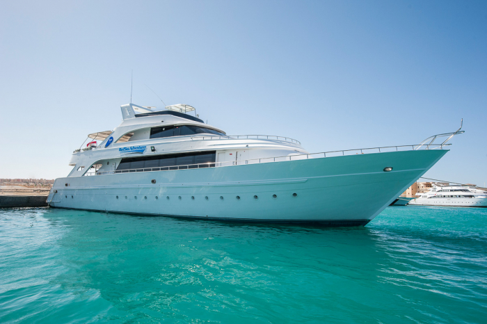 Blue Adventurer Red Sea