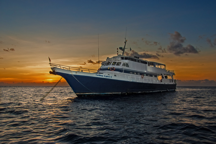 Caribbean Explorer Ii 6