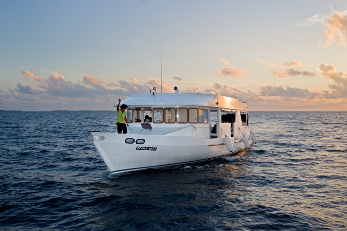 Carpe Novo Liveaboard Maldives 11