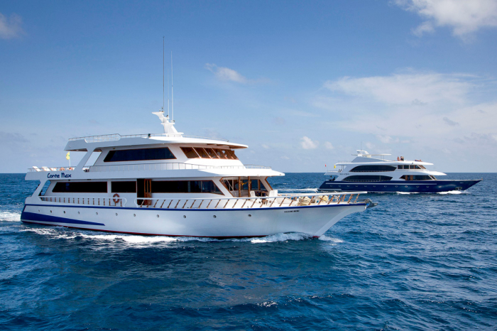 Conte Max Liveaboard Maldives 4