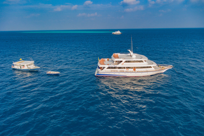 Conte Max Liveaboard Maldives 14