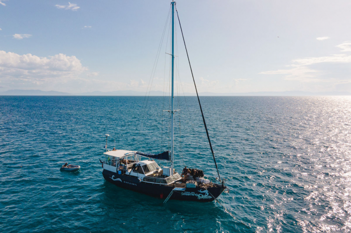 Coral Sea Dreaming Liveaboard 5