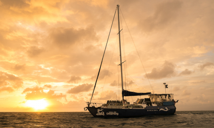 Coral Sea Dreaming Liveaboard Thumb