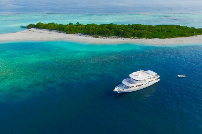 Eco Blue 20