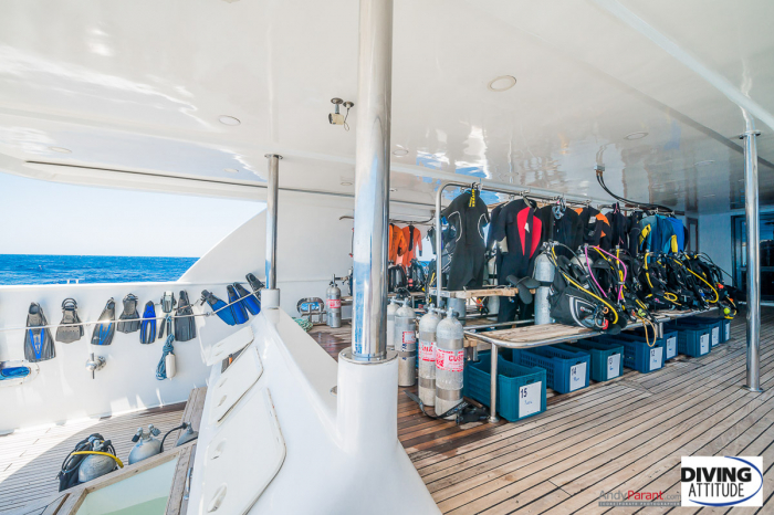 Exocet Diving Attitude Liveaboard 21