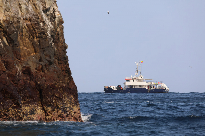 Ferox Malpelo Liveaboard