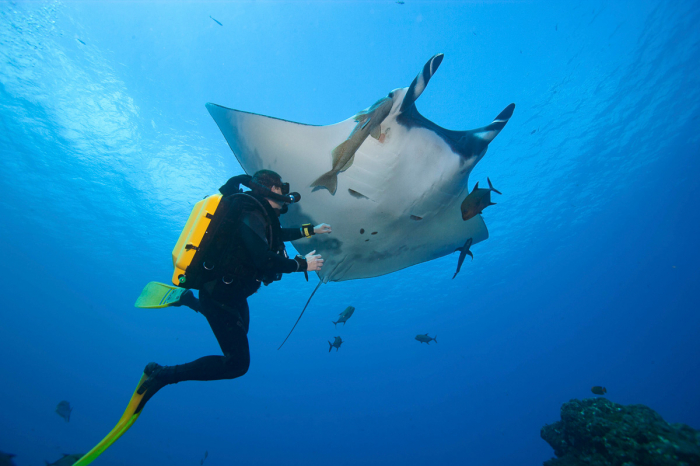 Galaxy Diver Liveaboard Galapagos Ecuador 17