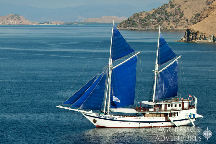 Indo Aggressor Liveaboard Indonesia 6