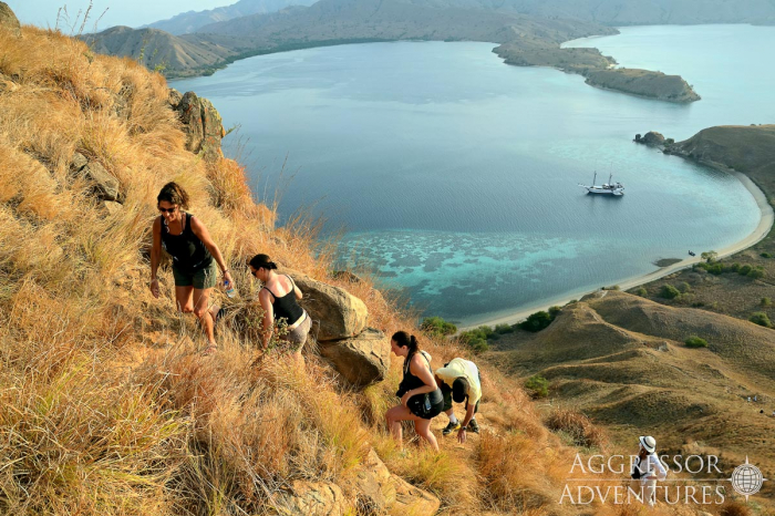 Indo Aggressor Liveaboard Indonesia 15
