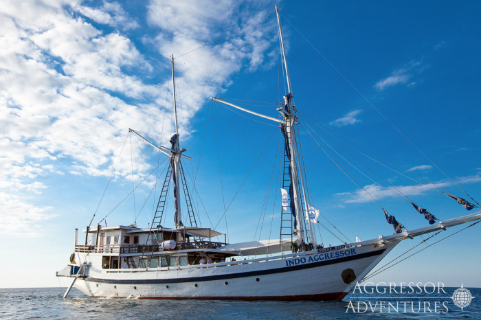 Indo Aggressor Liveaboard Indonesia