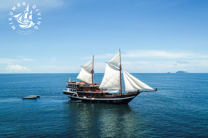 Jelajahi Laut Liveaboard Indonesia 5