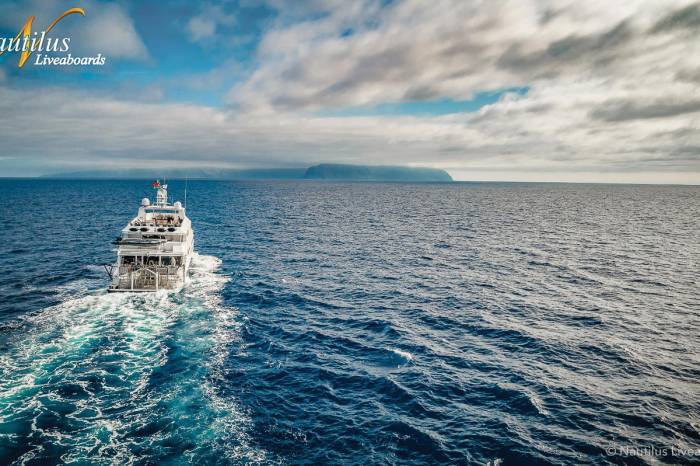 Nautilus Belle Amie Liveaboard Mexico 14