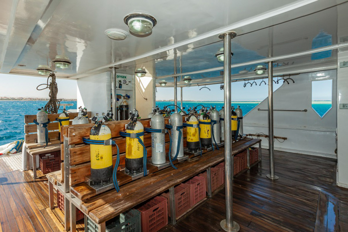 Nemo Liveaboard Red Sea 13