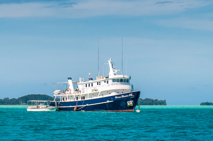 Ocean Hunter Liveaboard Palau 8