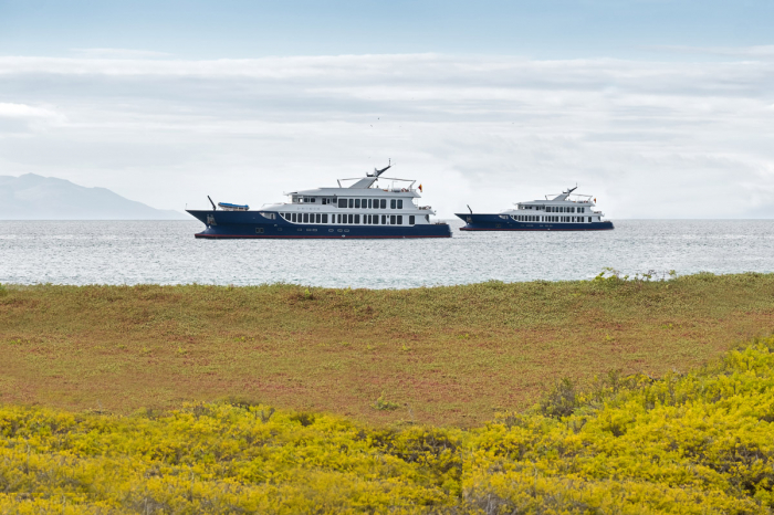 Origin Galapagos Liveaboard 17