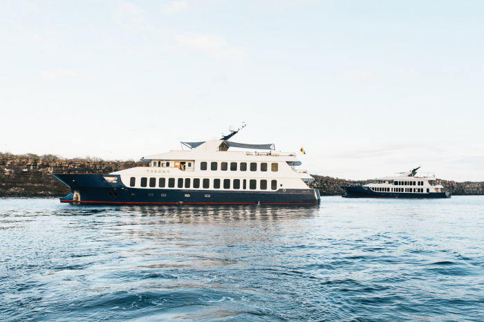 Origin Galapagos Liveaboard 19