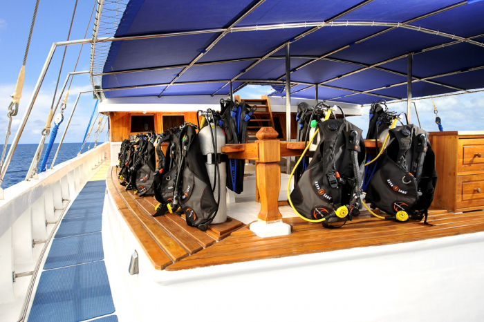 Palau Siren Liveaboard 11