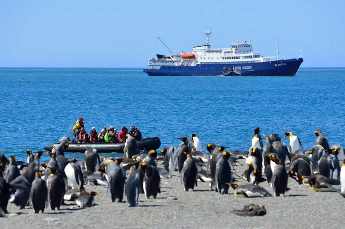 Plancius Oceanwide Expeditions 15