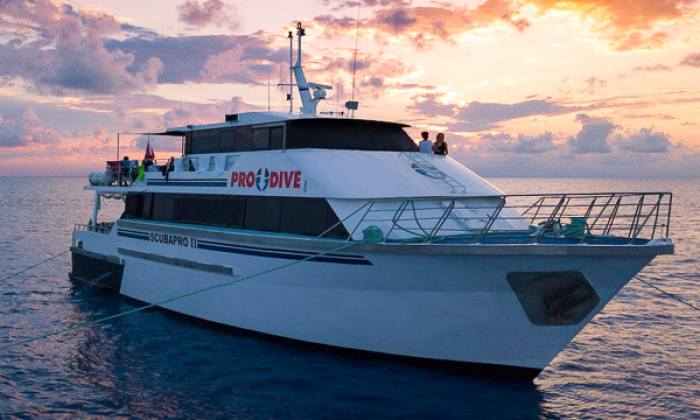 Pro Dive Cairns Liveaboard Thumb