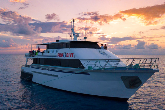 Pro Dive Cairns Liveaboard