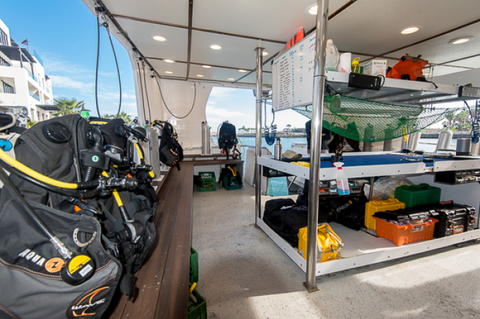 Quino El Guardian Liveaboard Mexico 4