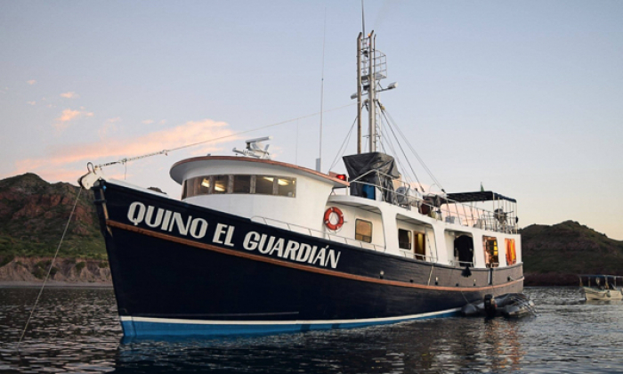 Quino El Guardian Liveaboard Mexico Thumb