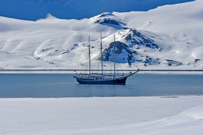 Rembrandt Van Rijn Arctic 21