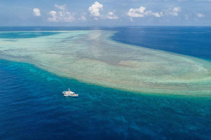 Resolute Liveaboard Philippines 6