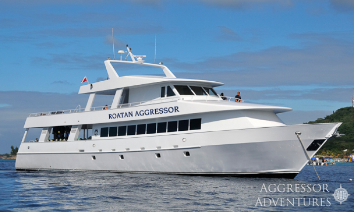 Roatan Aggressor Honduras Liveaboard Thumb