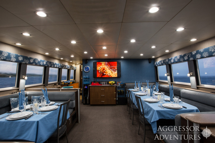 Roatan Aggressor Honduras Liveaboard 7