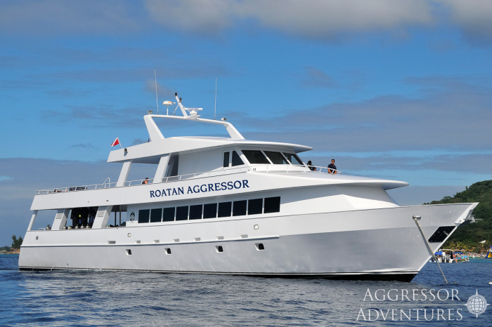 Roatan Aggressor Honduras Liveaboard