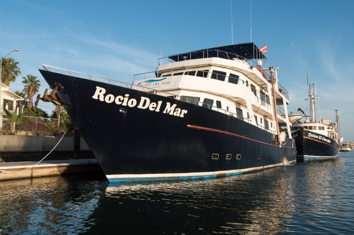 Rocio Del Mar Liveaboard Mexico 6