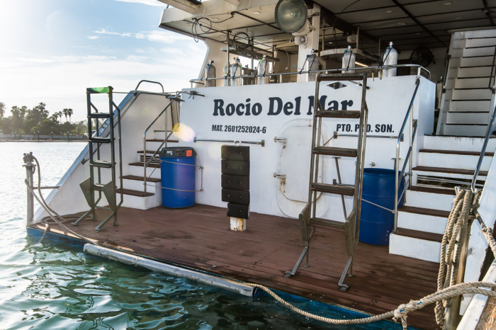 Rocio Del Mar Liveaboard Mexico 17