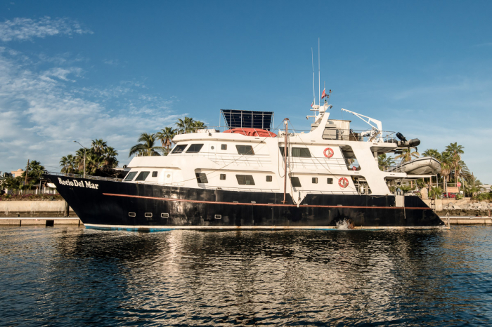 Rocio Del Mar Liveaboard Mexico