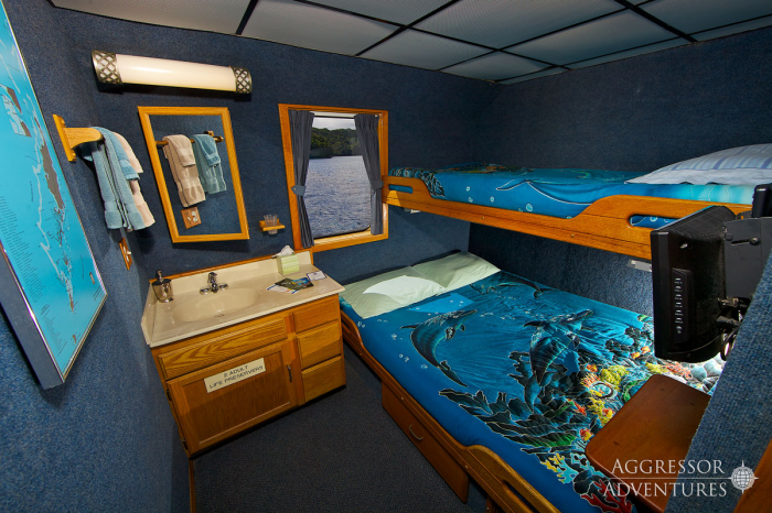 Rock Islands Aggressor Liveaboard Palau 7