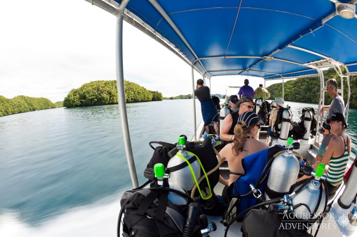 Rock Islands Aggressor Liveaboard Palau 10