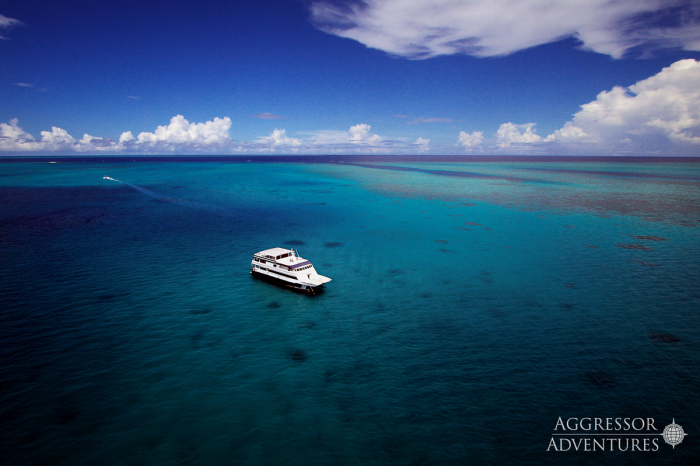 Rock Islands Aggressor Liveaboard Palau 11