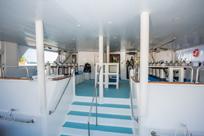 Royal Evolution Liveaboard 25