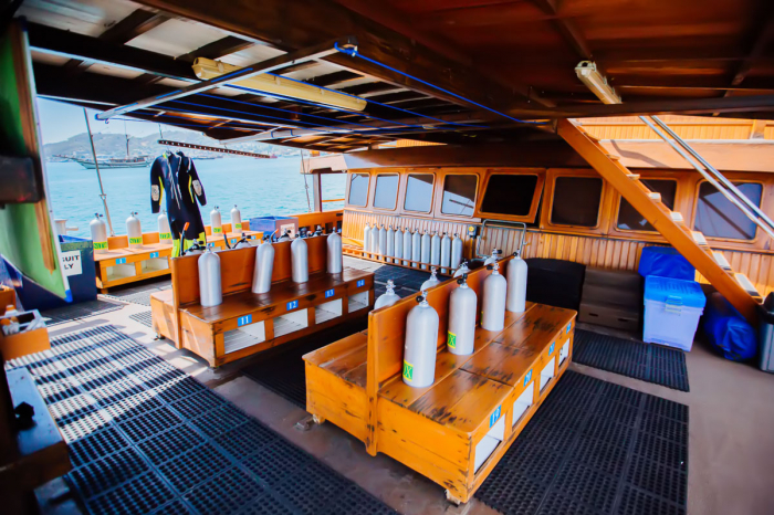 Sea Safari Vii Liveaboard Indonesia 18