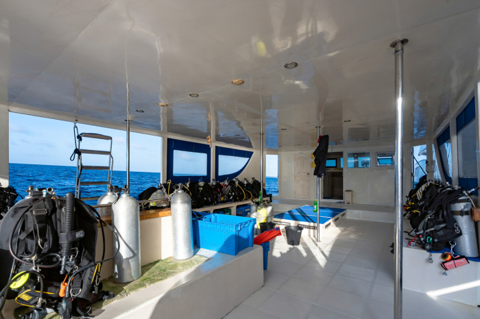 Seafari Explorer 2 Liveaboard 2023 46