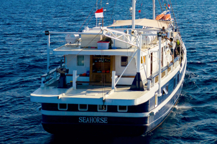 Seahorse Liveaboard Indonesia 24