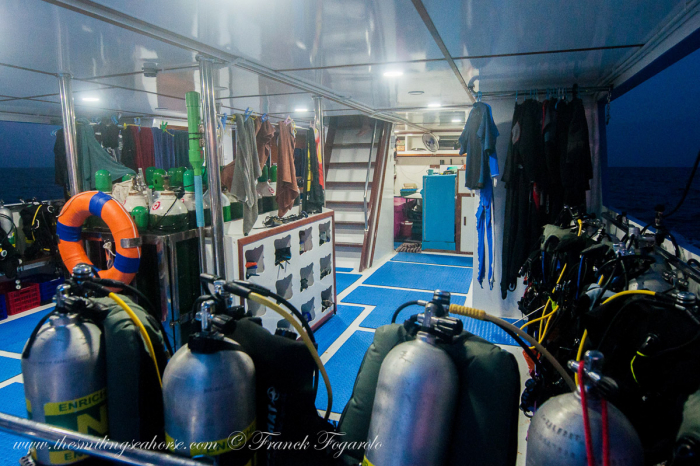 Smiling Seahorse Liveaboard Thailand 18