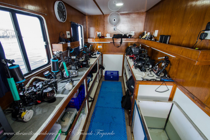 Smiling Seahorse Liveaboard Thailand 20