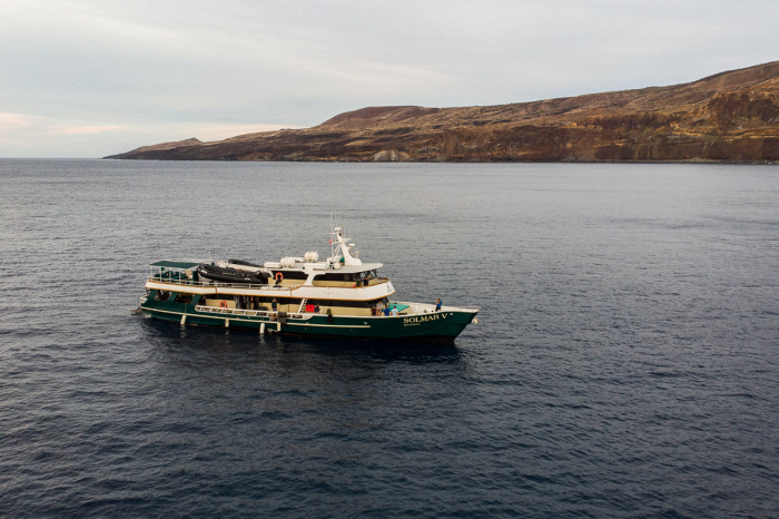 Solmar V Liveaboard Mexico 4