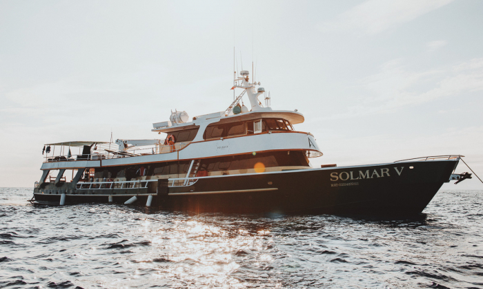 Solmar V Liveaboard Mexico Thumb