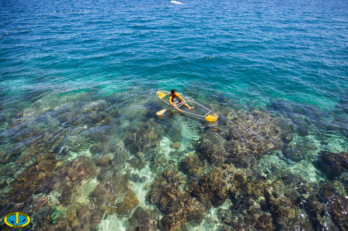 Borneo Divers Mabul 23